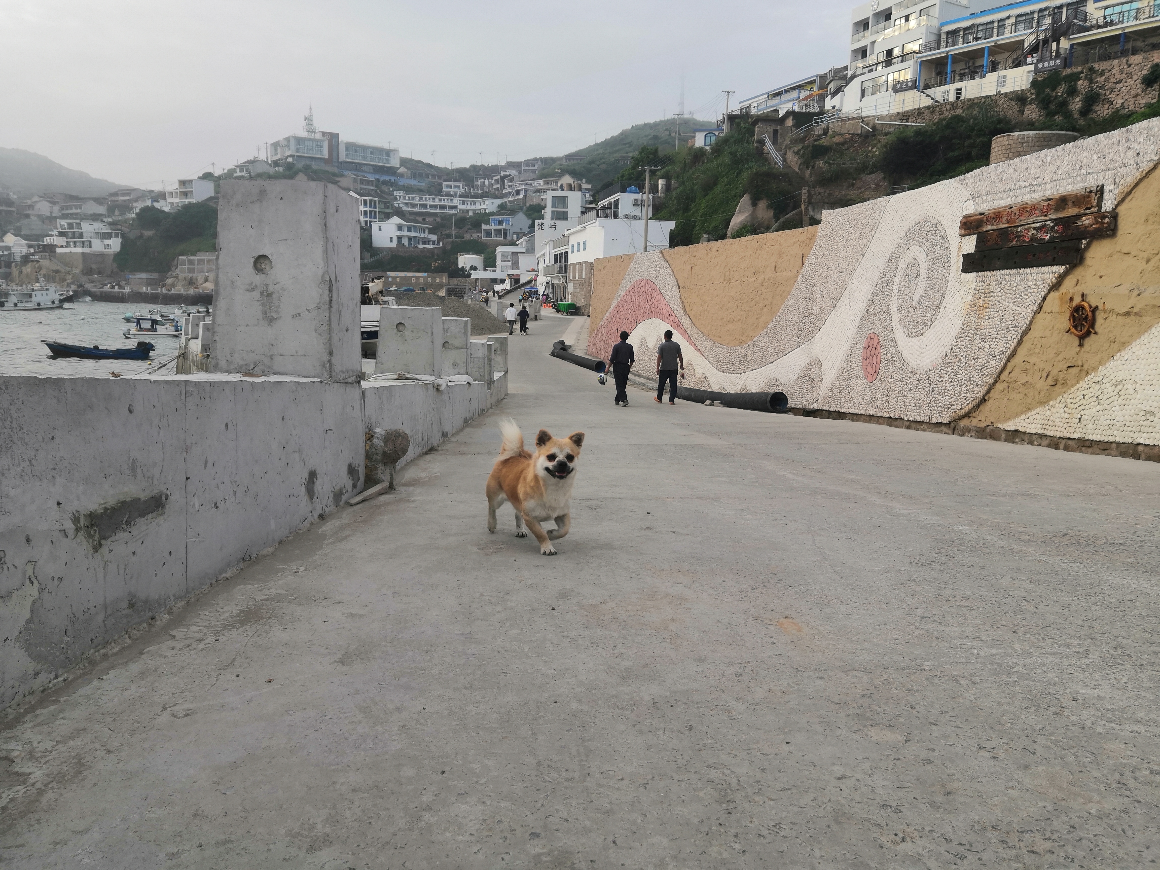 夕阳下美丽的东极岛,东极岛岛屿