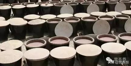 虾酱代替盐靠谱吗？