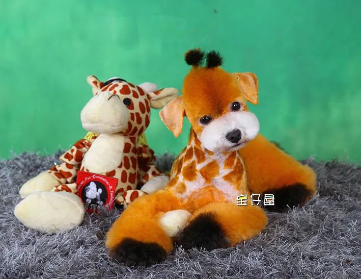 BlingBlink宠物彩妆粉亮相2021CPF广州国际宠博会