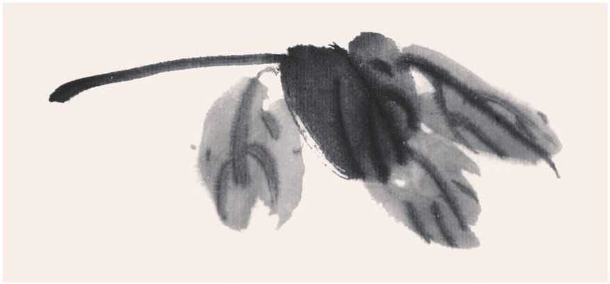 国画牡丹叶子的画法一窍不通,如何画牡丹花叶子和枝干国画视频