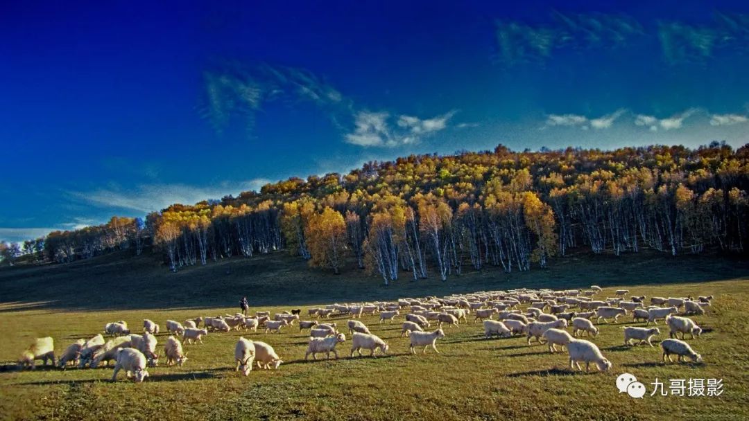 大美坝上草原全景,大美坝上风光系列之一