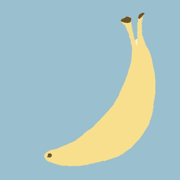 叮叮也会折断：关于叮叮，你可能还不知道的5个真相