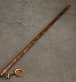 硬生生地在蚕虫壳中活了六年