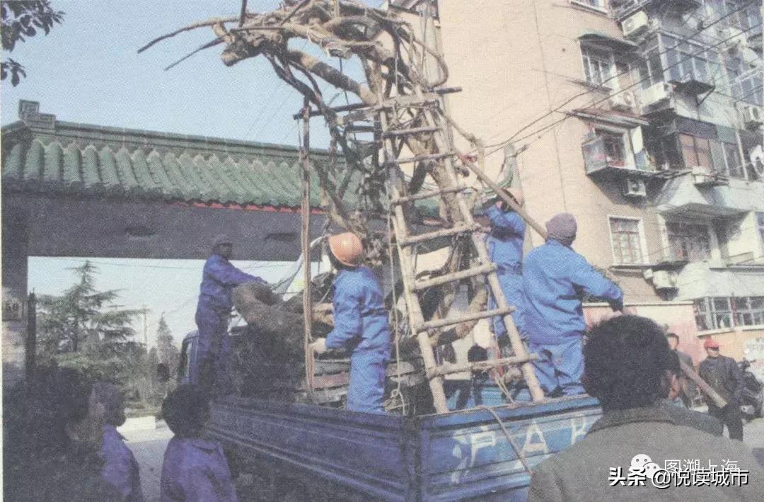 悦读城市浦东,悦读城市上海