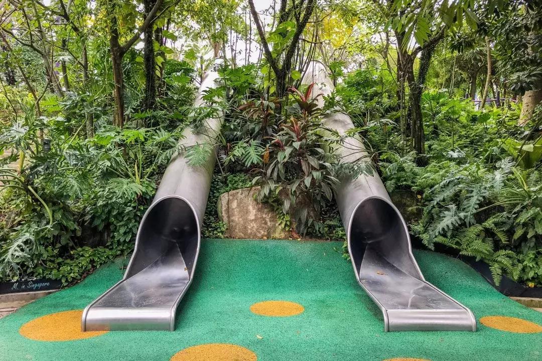 新加坡遛娃最佳地点,新加坡遛娃的好去处