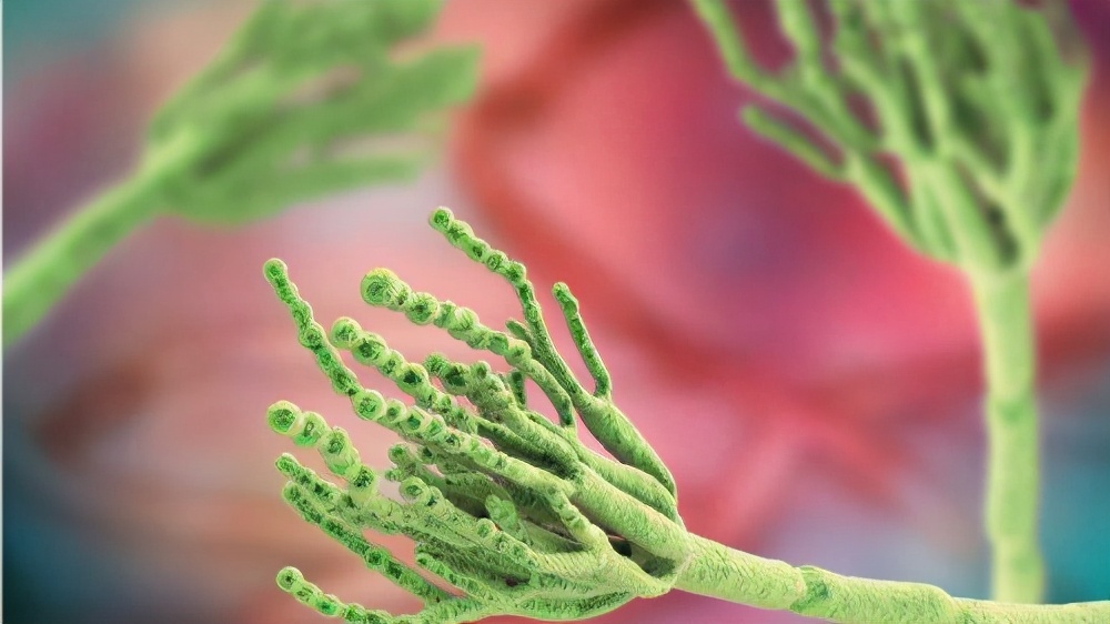 青霉素过敏起荨麻疹怎么办,青霉素过敏可以吃奥硝唑吗