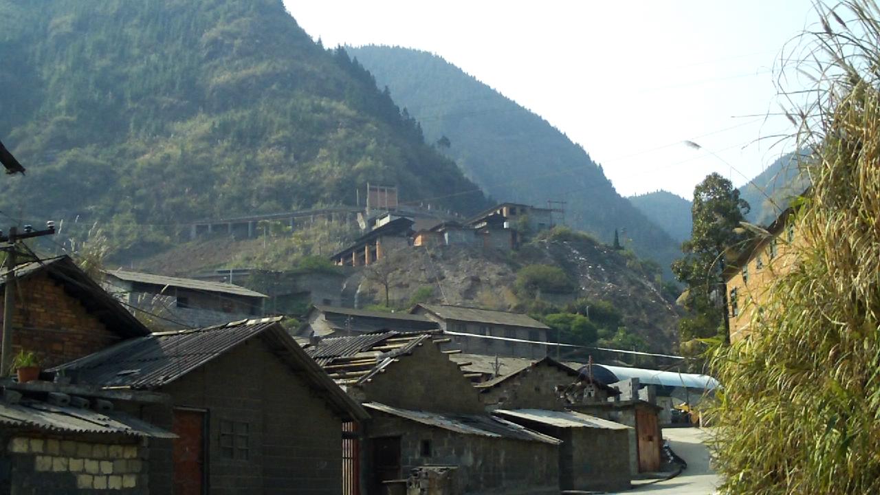 我家里真的有矿免费完结小说,我家里真的有矿