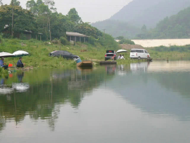 广东钓土鲮鱼用多大的子线和钩子,南宁用什么饵料钓土鲮