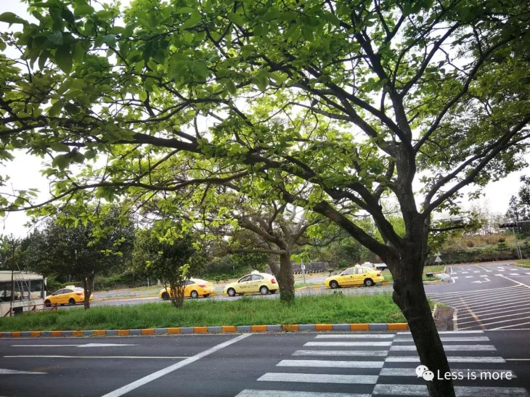韩国济州岛五天攻略,韩国济州岛旅游详细攻略