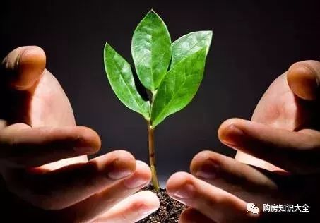 利润很吓人10个冷门创业项目摆摊,利润很吓人10个冷门创业项目养殖