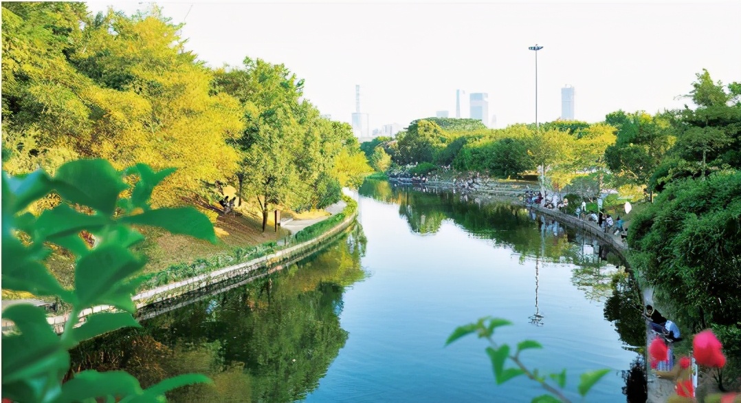 深圳荔枝公园跑步一圈有多长,目前深圳有哪些地方适合跑步