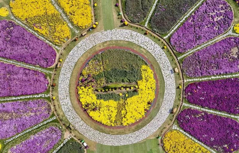 胜日寻芳泗水滨图片,胜日寻芳泗水滨的下一句是