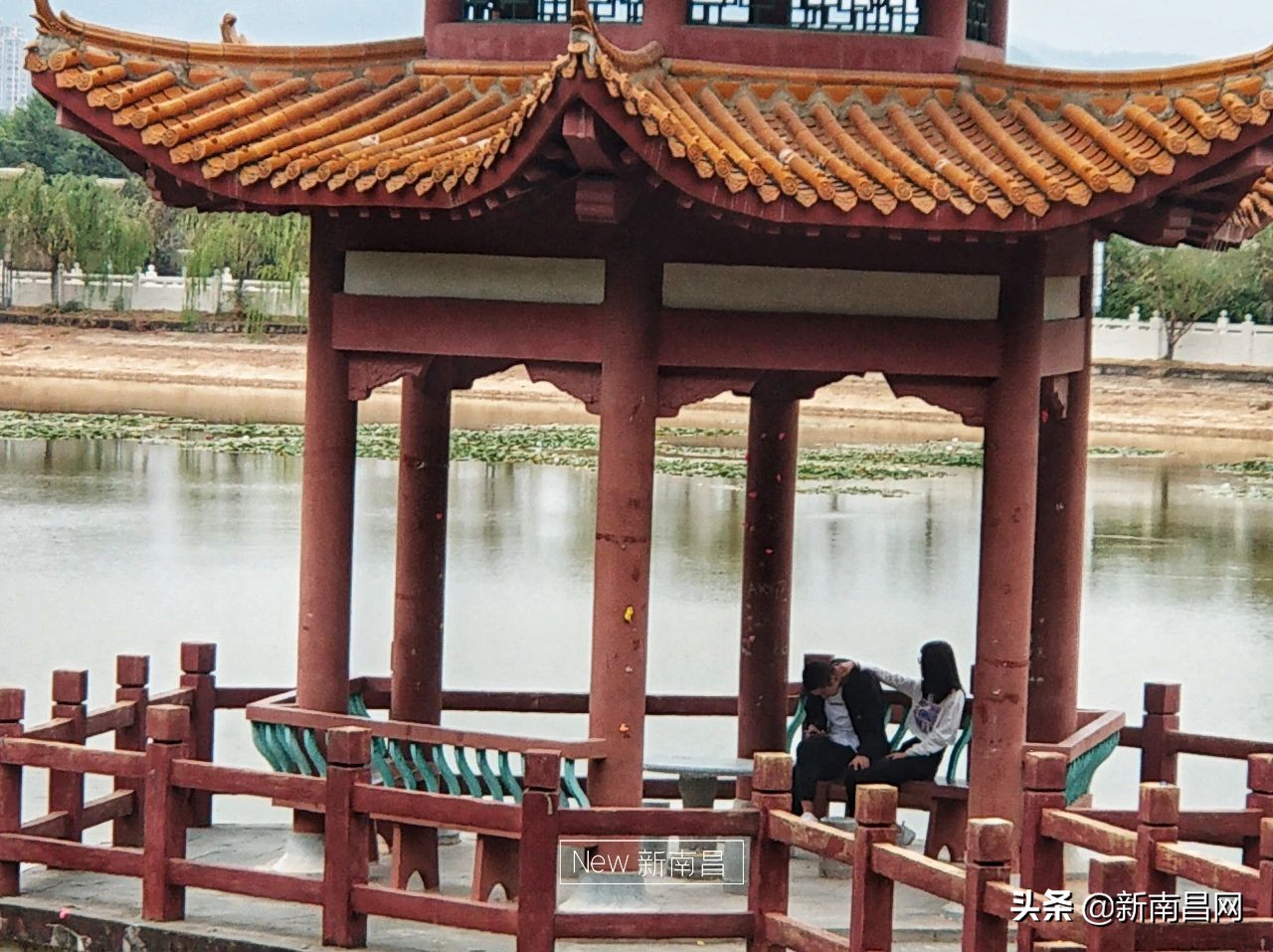 江西中医药大学回忆,现在的江西中医药大学