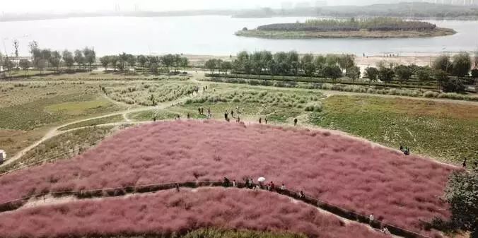 端午节郑州一日游,郑州端午旅游推荐2-3天游
