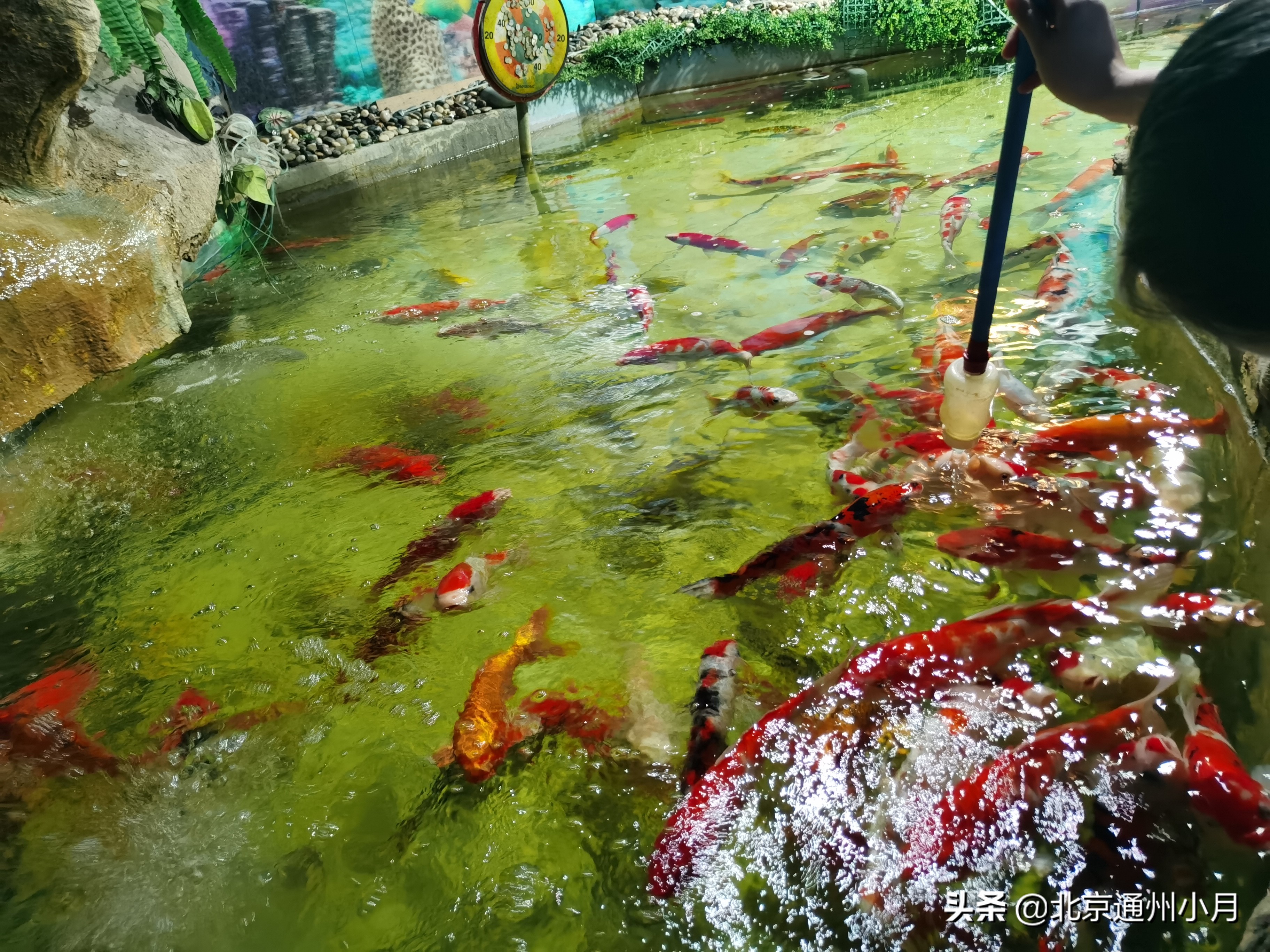 北京海底世界游览时间表,北京海底世界值得玩