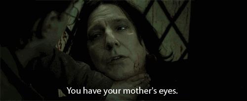 哈利波特四十岁生日的样子,哈利波特十九年后