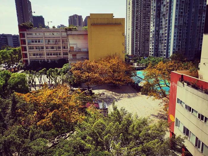 大渡口区重点中学,重庆市大渡口区三十七中录取标准