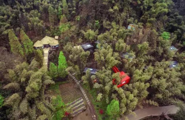 六一儿童节火车,六一快乐专列