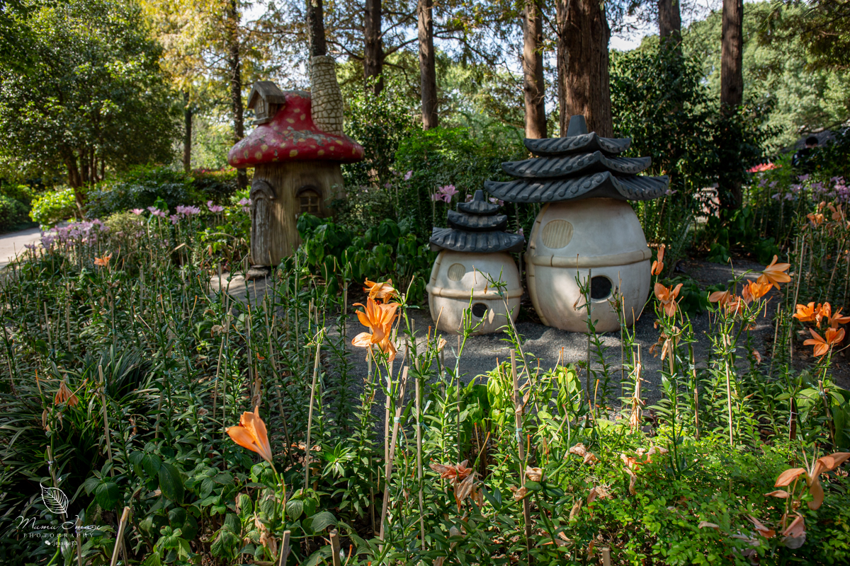 江南百年园林,江南私家园林所蕴含的人文情怀