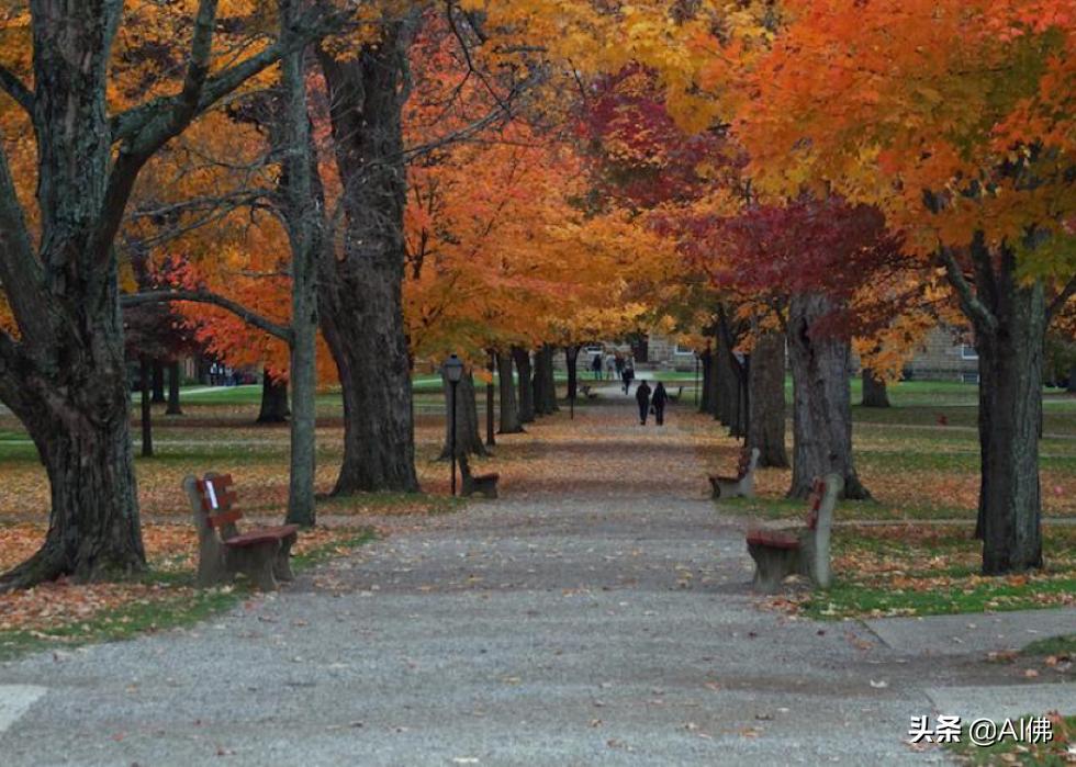 美国康奈尔大学校园风景,美国校园美景