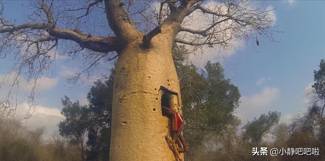 马达加斯加奇葩冷知识,你不知道的国家冷知识摩洛哥