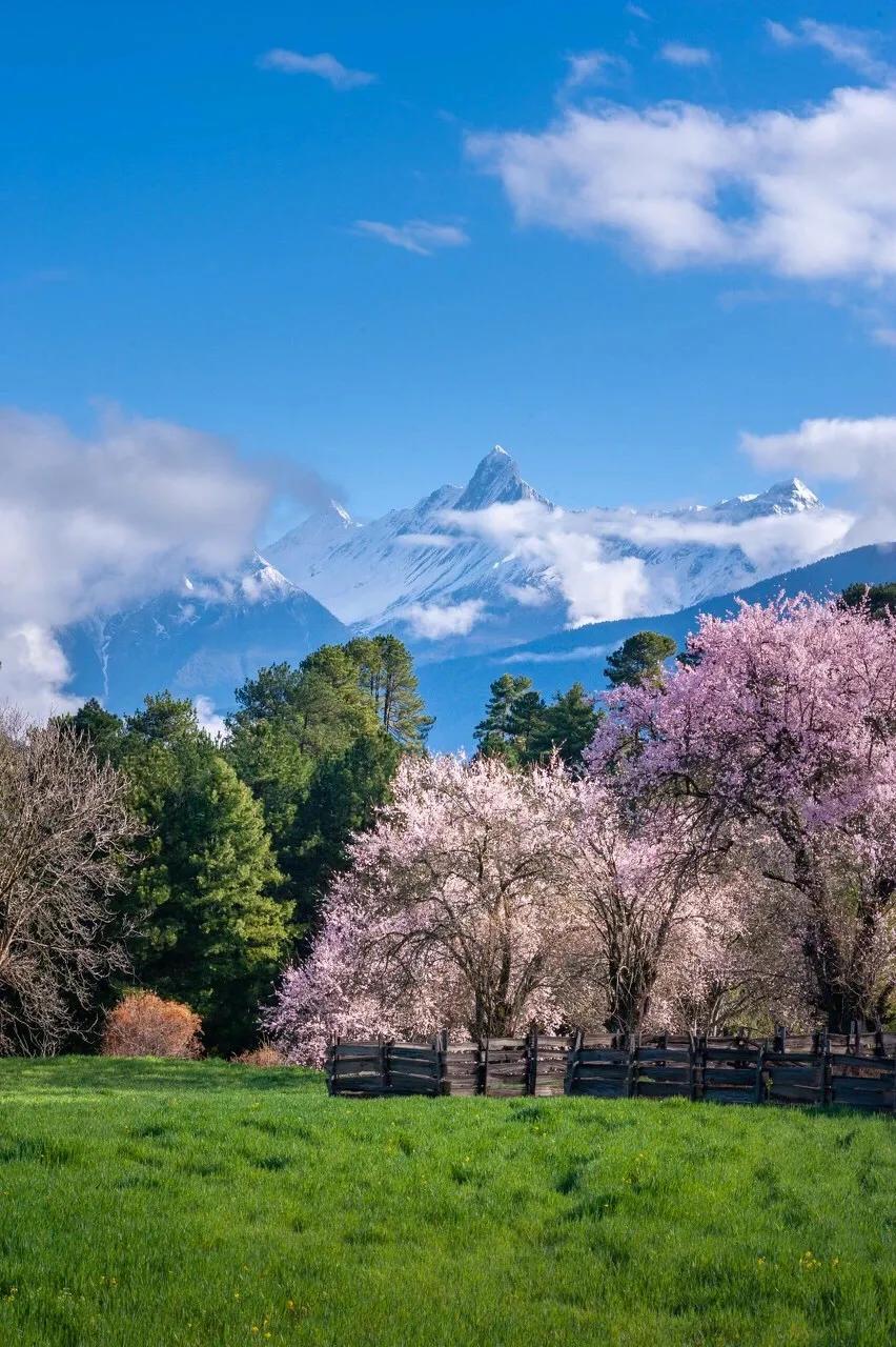 中国唯一不收费的高速公路,中国旅游风景最好的四条高速