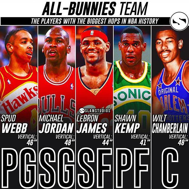 垂直起跳摸高nba纪录,垂直起跳nba2kol2