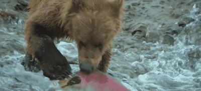 豆瓣9.8分悬疑大片,窥探电视剧豆瓣评分