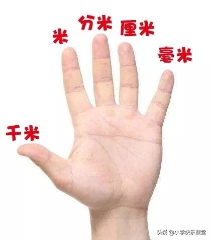 小学数学单位换算公式大全完整版,小学三年级重量单位换算公式大全