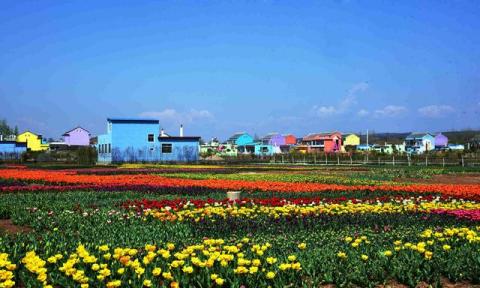 如果在洛南遇见你