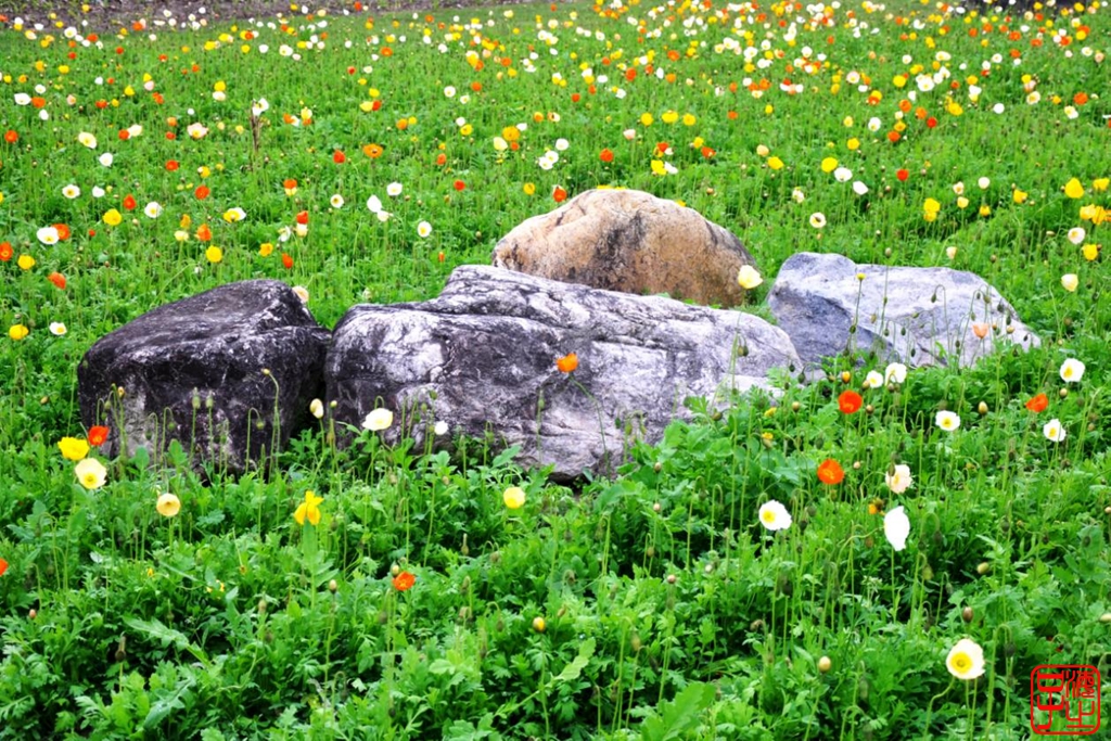 浙江母亲河钱塘江,浙江台州春风