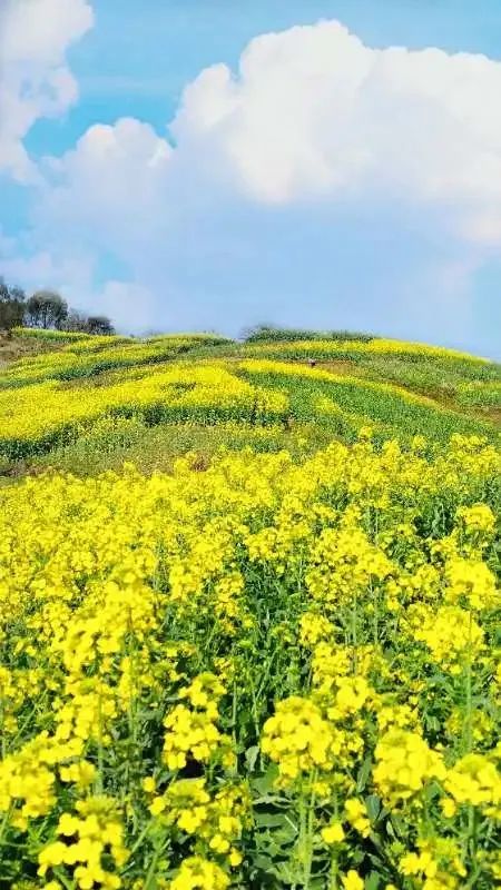 为什么你拍不出好看的图片,为什么你拍出来的照片很不好看