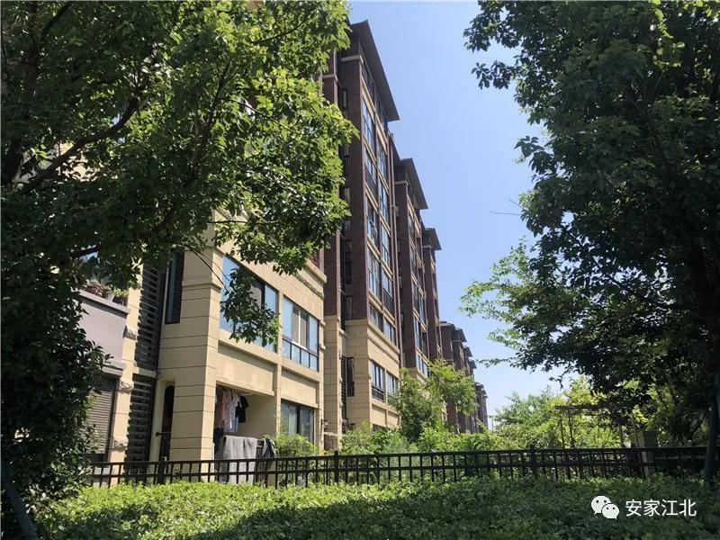 江北哪个小区物业好一些,重庆哪个物业比较好