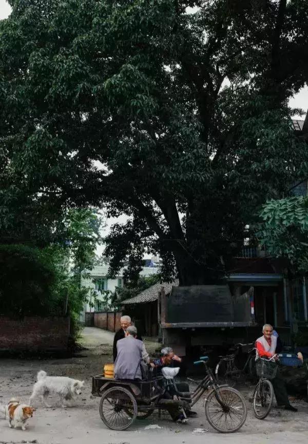 乐山最美古镇,乐山三日游最佳古镇