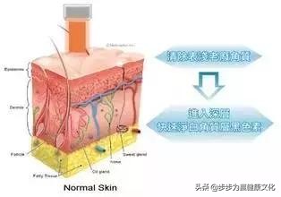 黑瓷娃娃和白娃娃有什么区别,黑脸娃娃和白瓷能同时做吗
