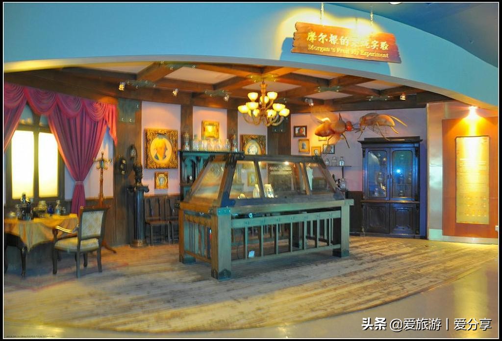 上海科技馆游玩攻略,景点打卡上海科技馆