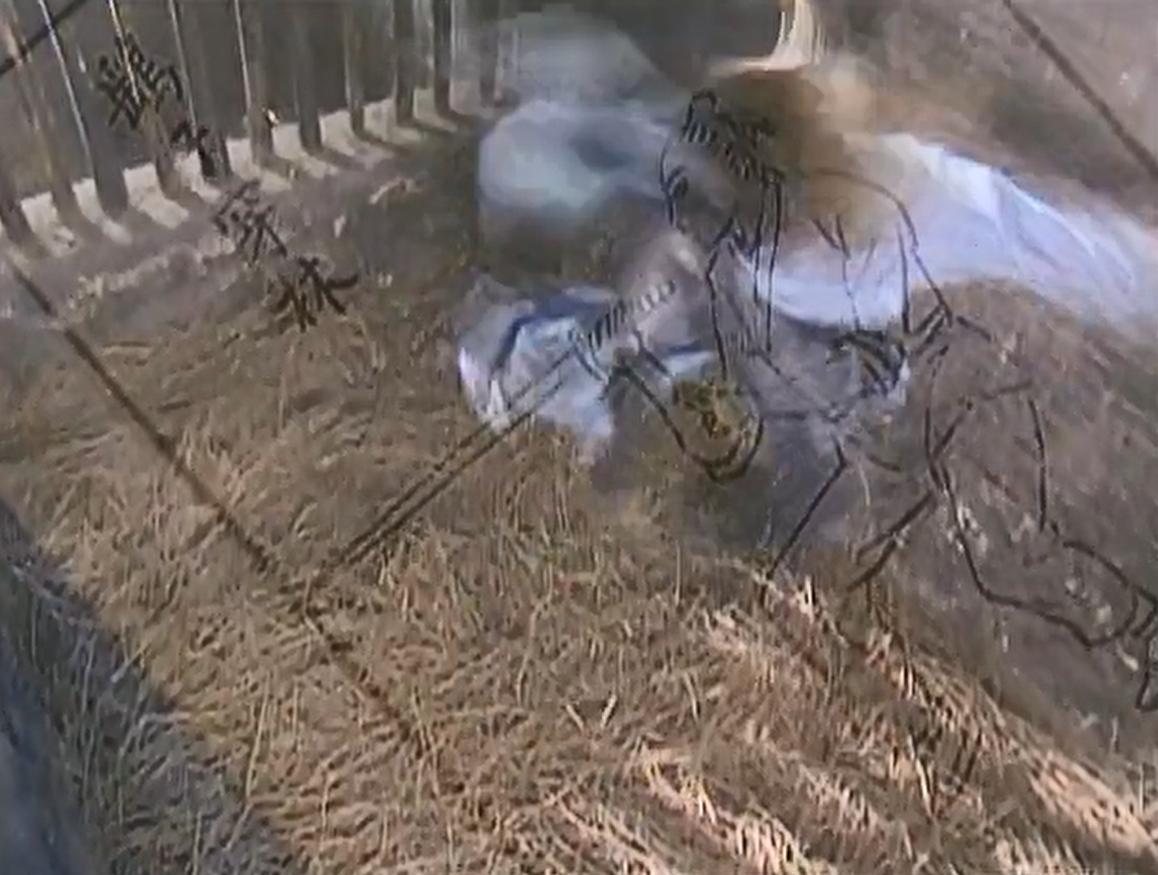 考研英语一必背阅读理解,考研英语写作书推荐