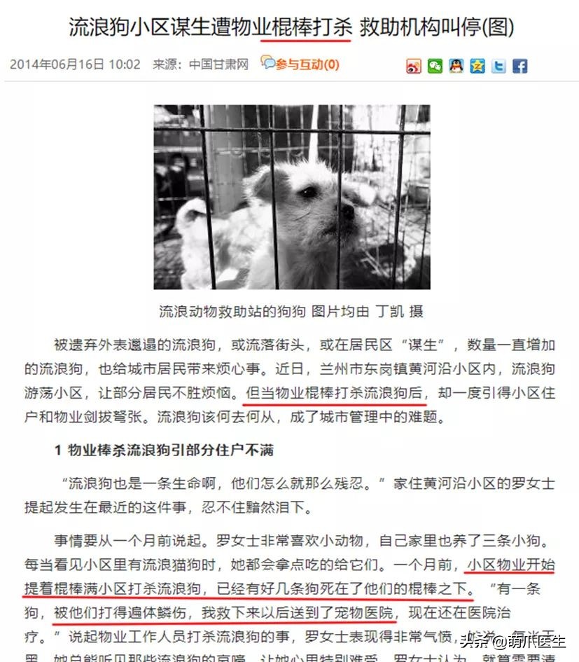 物业给小区流浪猫绝育视频,业主凑20万给流浪猫绝育