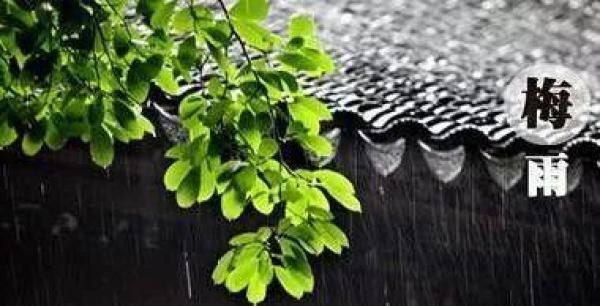 南方有南方的美,南方有多冷和北方有多冷