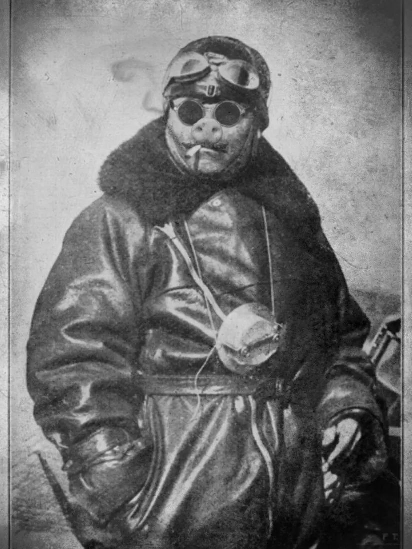 吉卜力动画风格特征,吉卜力电影片头龙猫原图