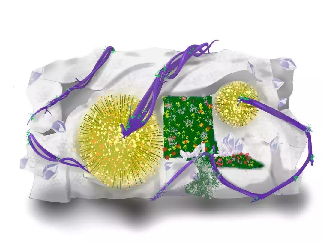 美到窒息！杭州这场园艺界的盛典，懂生活的人必须去！