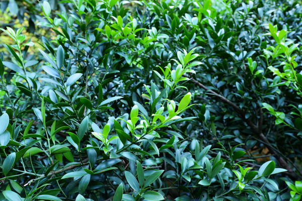 徐霞客游赣第一站在哪里,徐霞客游记江西第一站在哪