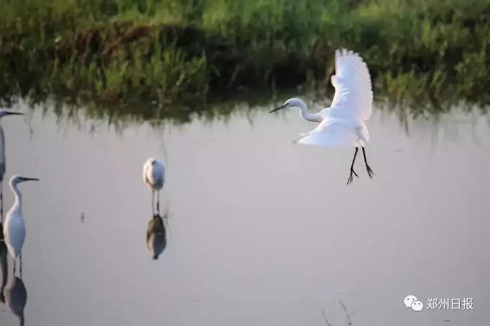 向全世界推介郑州,向全国推介郑州