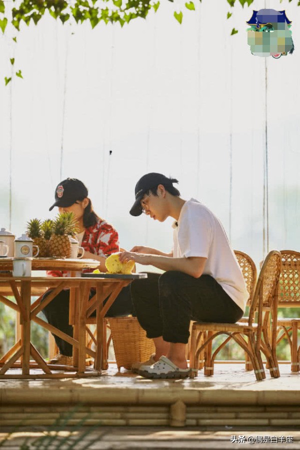 蘑菇屋导演复盘,蘑菇屋导演谈苏醒