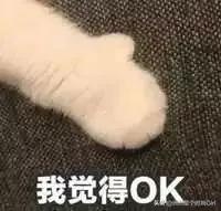 十大私藏品牌鞋,7家私藏绝美平价鞋子