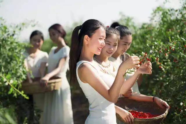 宁夏回族自治区曹广江,曹广江宁夏钢铁