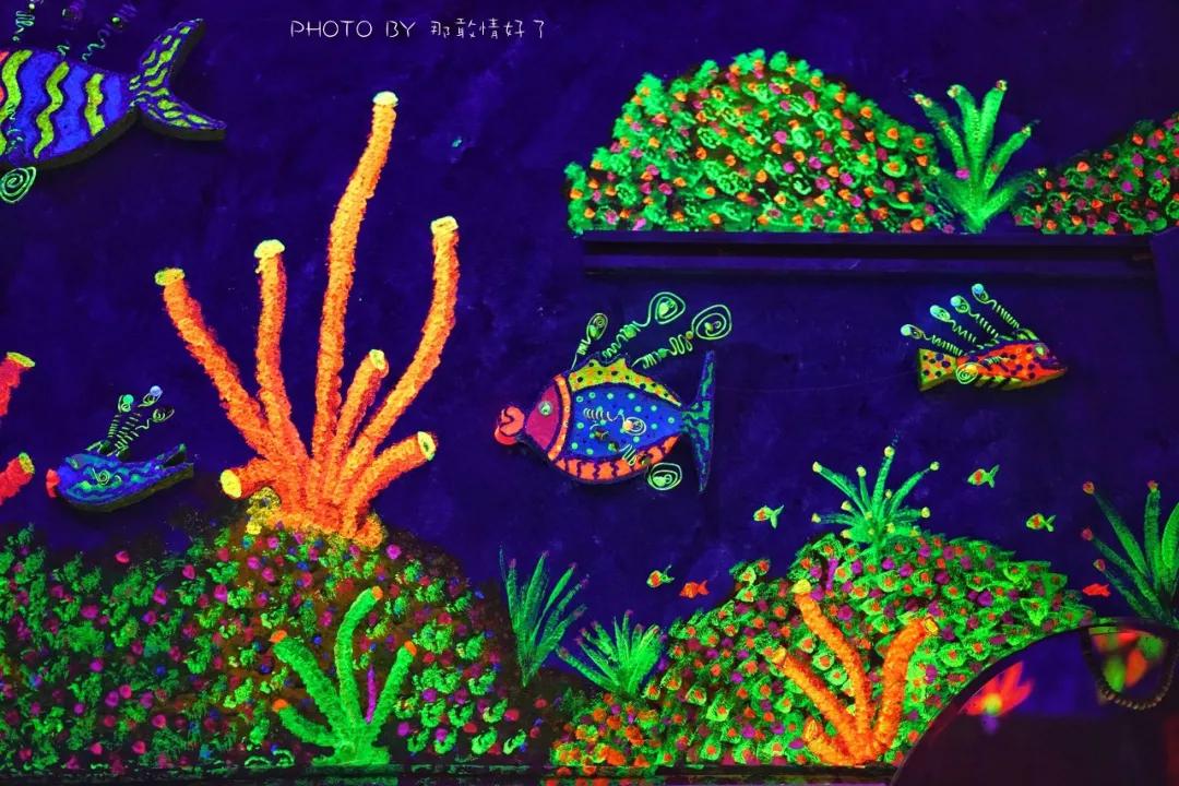 美国艺术家老夫妇定居苏梅岛十年，教游客画垃圾桶，唤醒环保意识