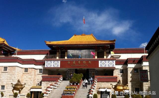 这100问,把你去*藏西**的疑问全都解决了!(二)