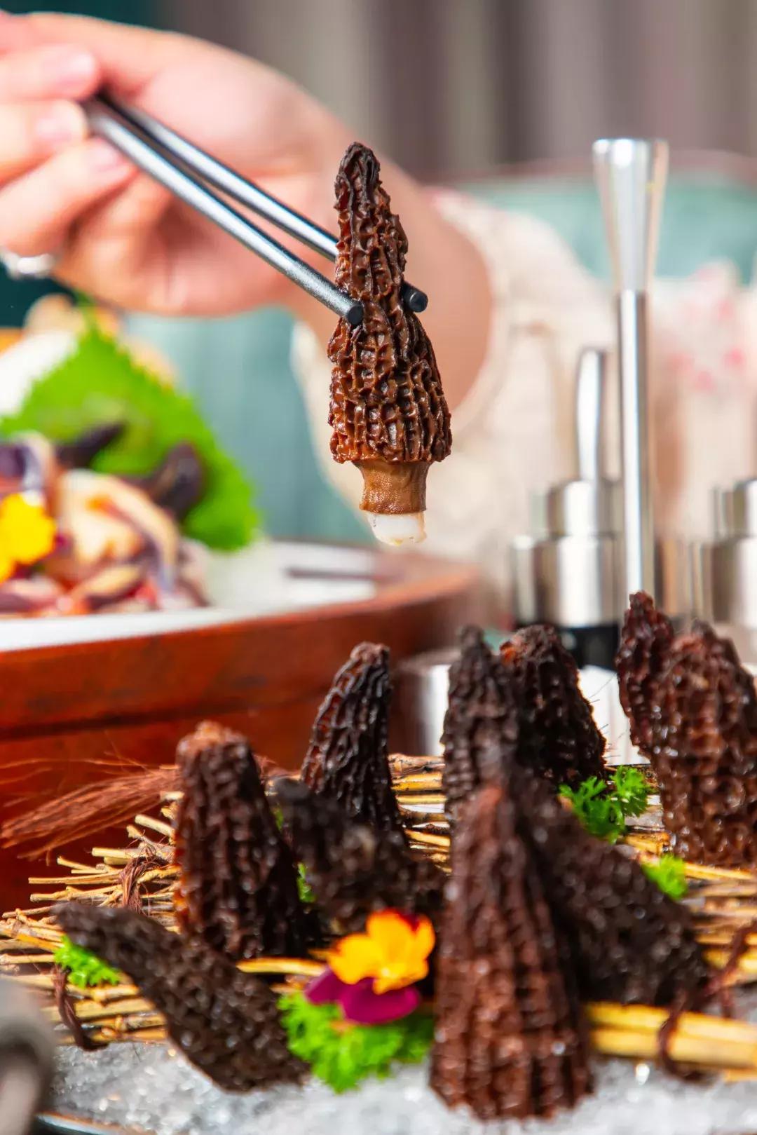 就是这么狂原版视频,天津火锅排行榜前十名一人一锅