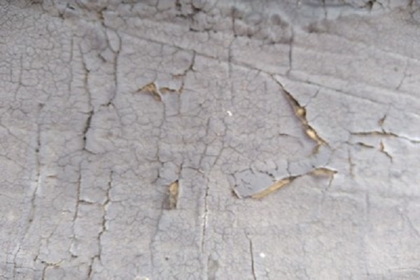 天沟漏水补漏最佳防水涂料,天沟外墙出水管漏水维修